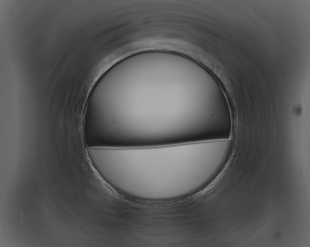 X0000097841529200803140823