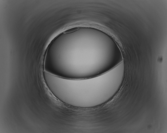 X0000097841530200803140823
