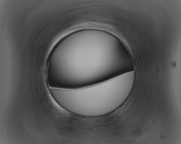 X0000097841531200803140823