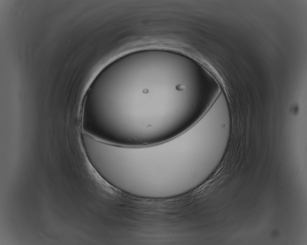 X0000097841532200803140823