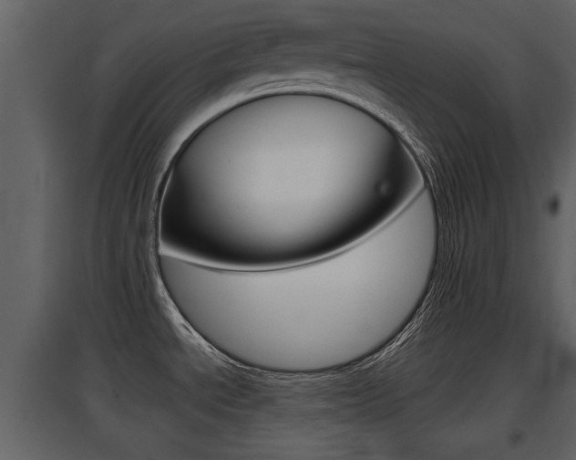 X0000097841534200803140823