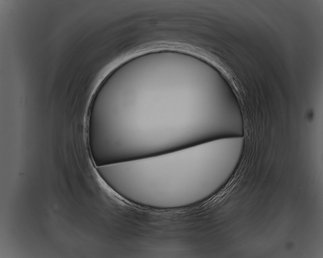 X0000097841535200803140823