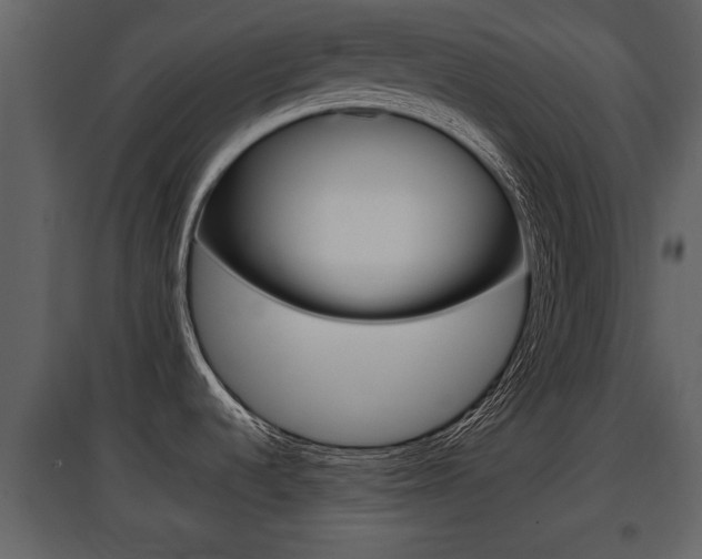 X0000097841536200803140823