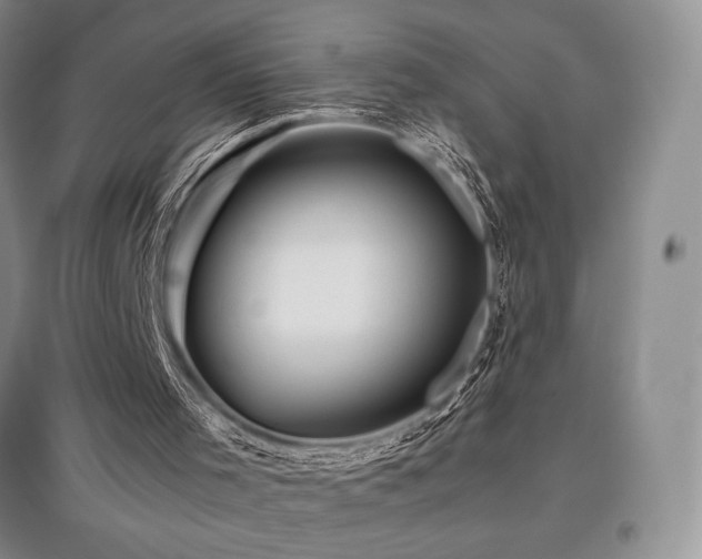 X0000097840001200803141218