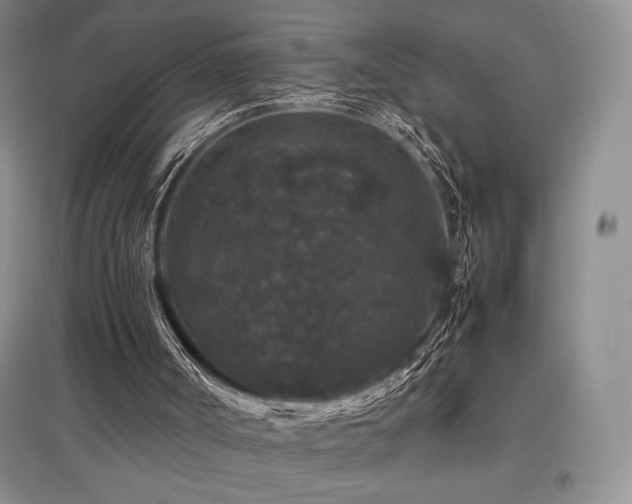 X0000097840002200803141218