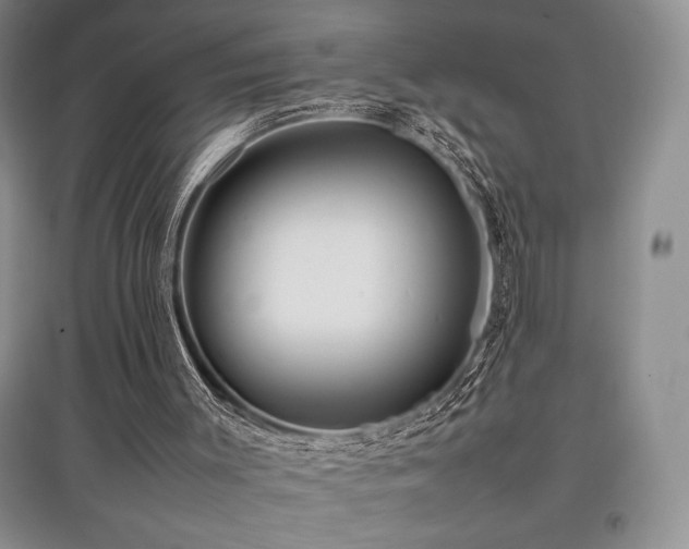 X0000097840003200803141218