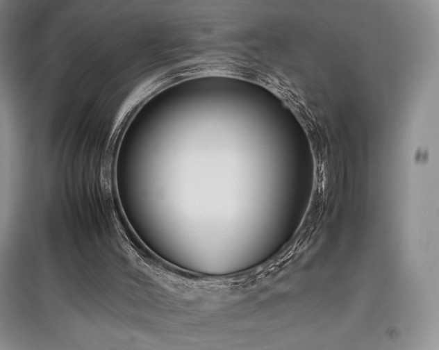X0000097840004200803141218