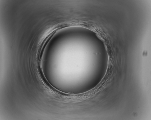 X0000097840005200803141218