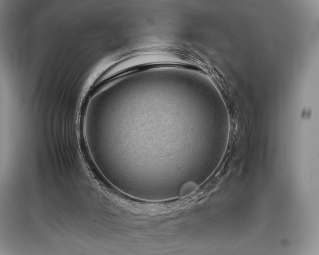 X0000097840006200803141218