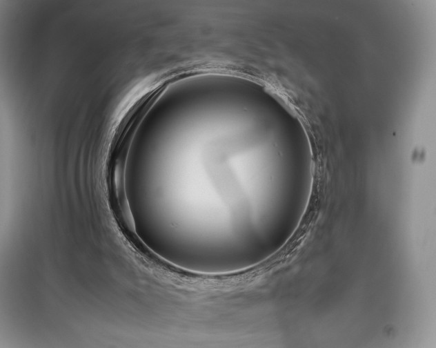 X0000097840007200803141218