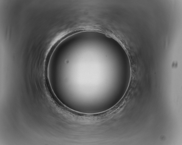 X0000097840008200803141218