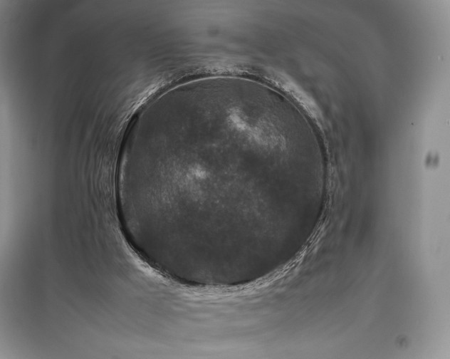 X0000097840009200803141218