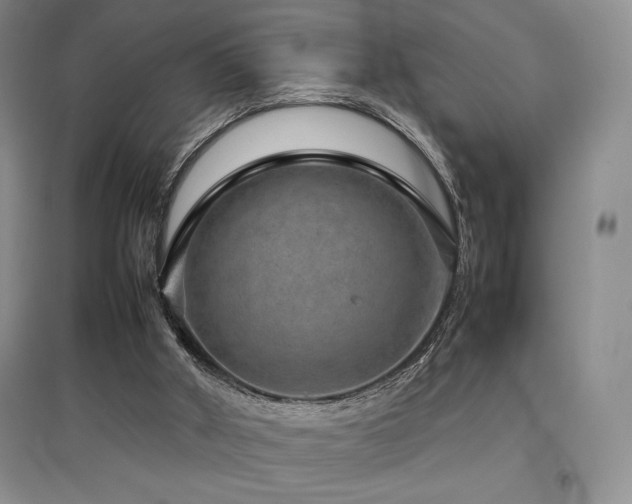 X0000097840010200803141218