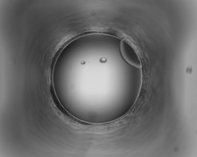 X0000097840011200803141218