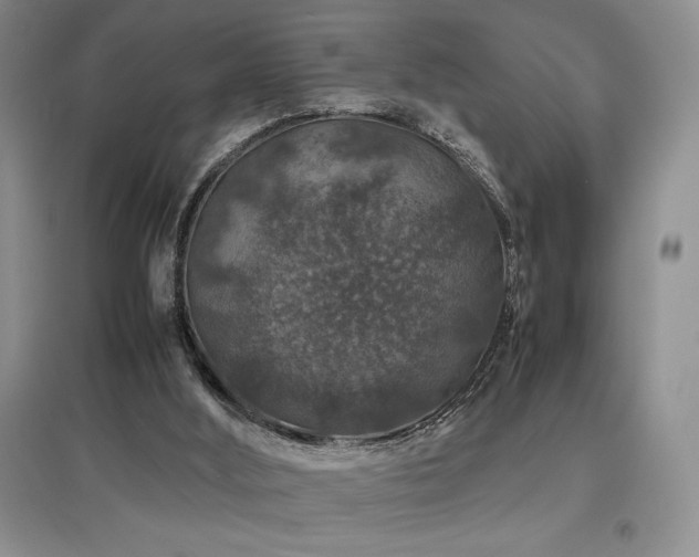 X0000097840012200803141218
