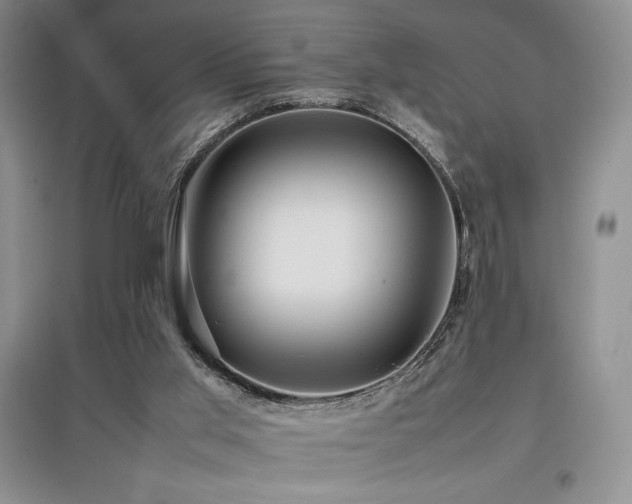 X0000097840013200803141218
