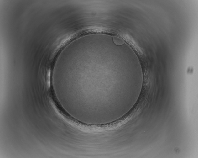 X0000097840014200803141218