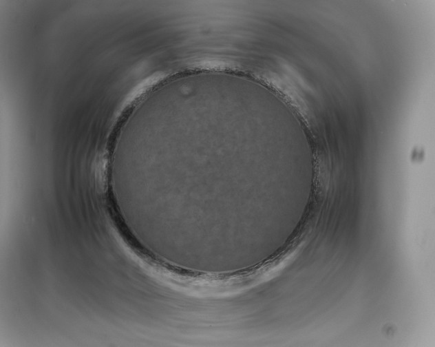 X0000097840016200803141218
