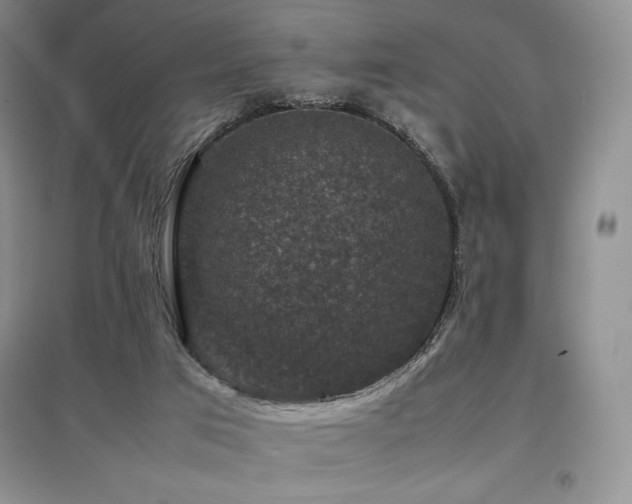 X0000097840017200803141218