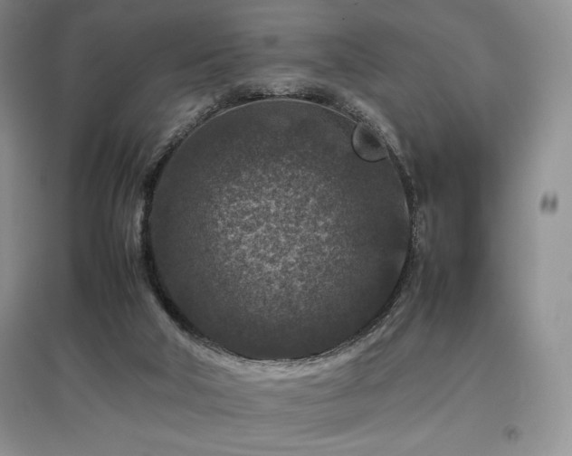 X0000097840018200803141218