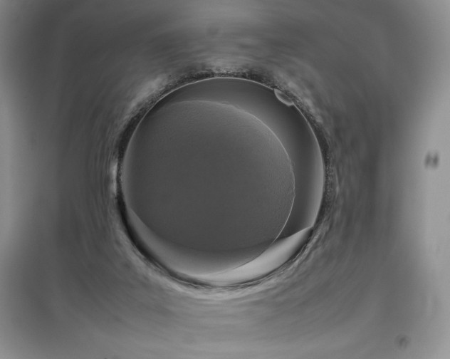 X0000097840019200803141218