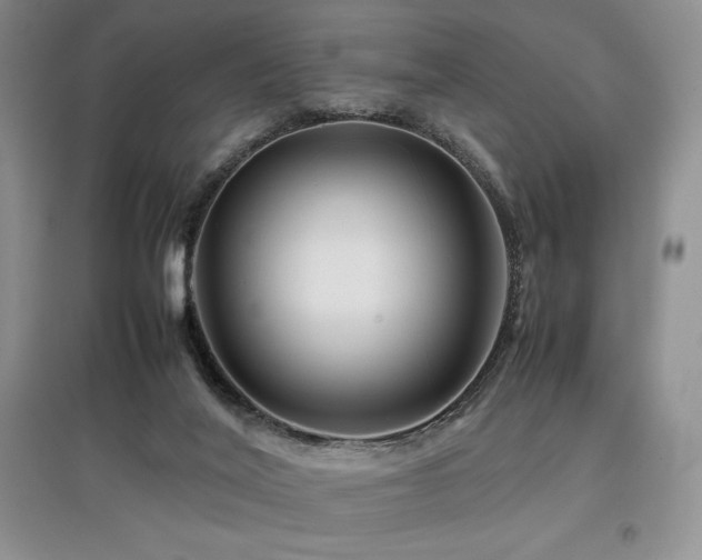 X0000097840020200803141218
