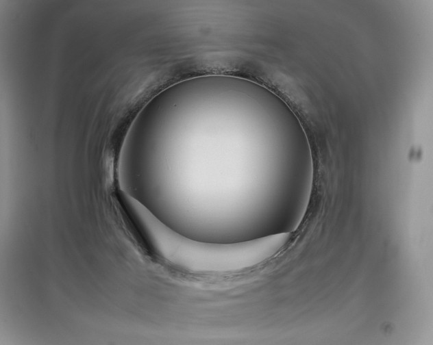 X0000097840021200803141218