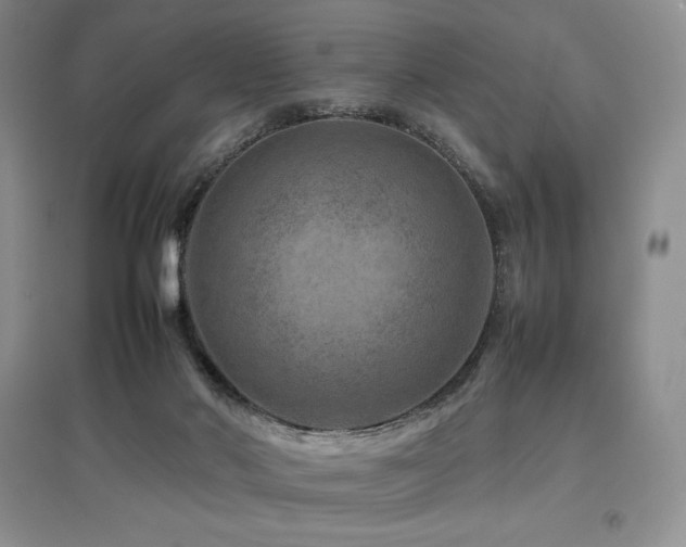 X0000097840022200803141218
