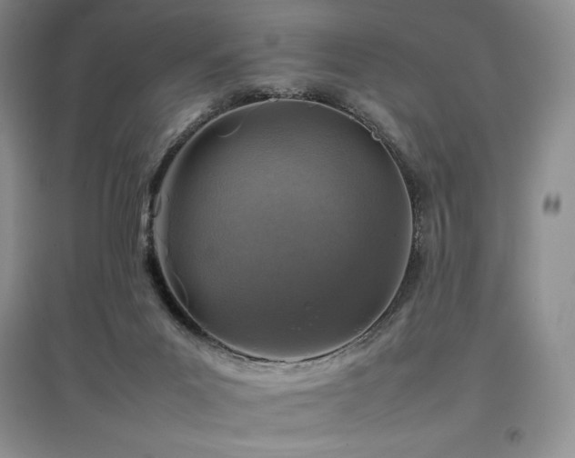 X0000097840023200803141218
