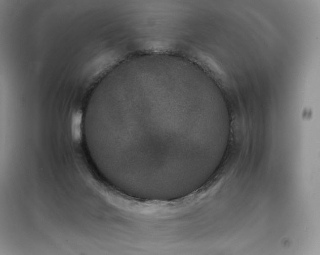 X0000097840024200803141218