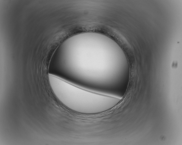 X0000097840025200803141218