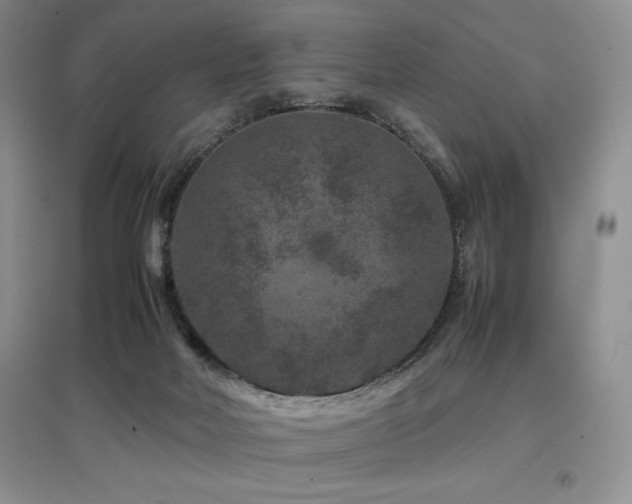 X0000097840026200803141218