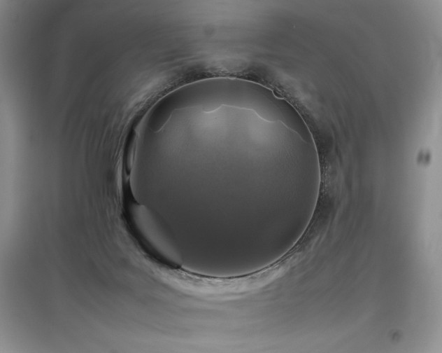 X0000097840027200803141218