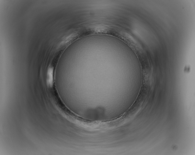 X0000097840028200803141218