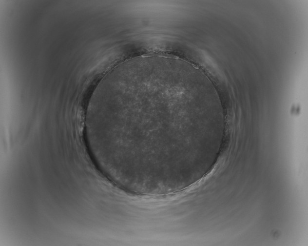 X0000097840029200803141218