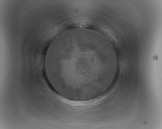 X0000097840030200803141218