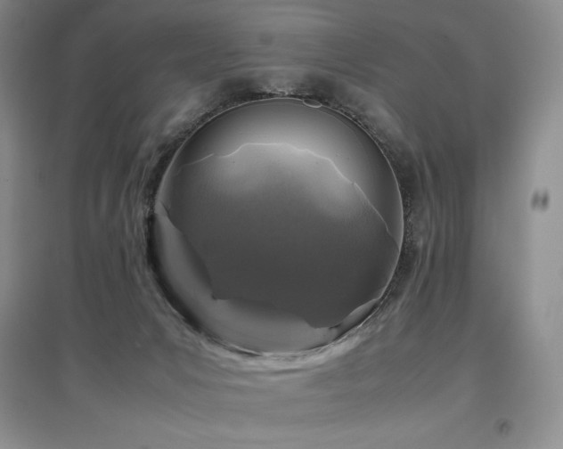 X0000097840031200803141218
