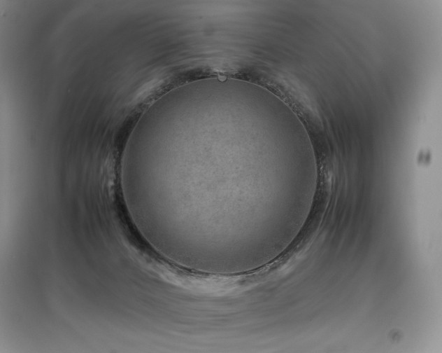 X0000097840032200803141218