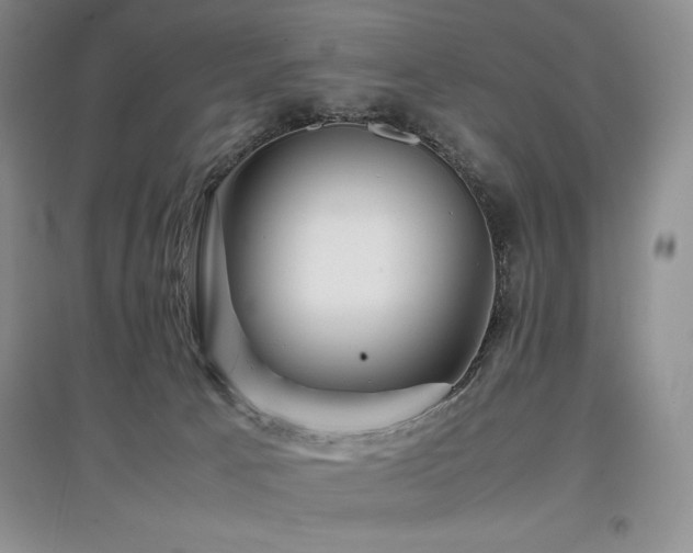 X0000097840033200803141218