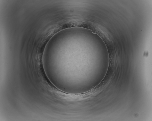 X0000097840034200803141218