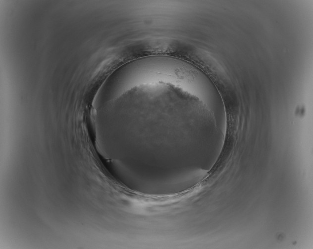 X0000097840035200803141218