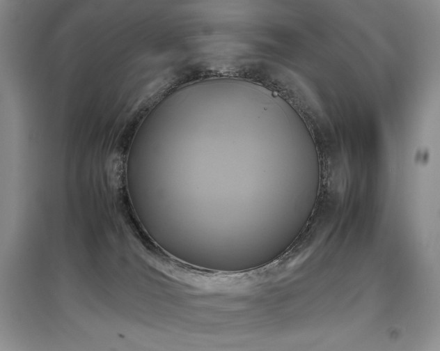 X0000097840036200803141218