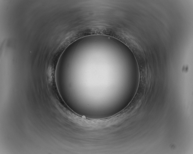 X0000097840038200803141217