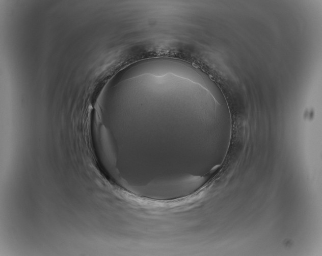 X0000097840039200803141217