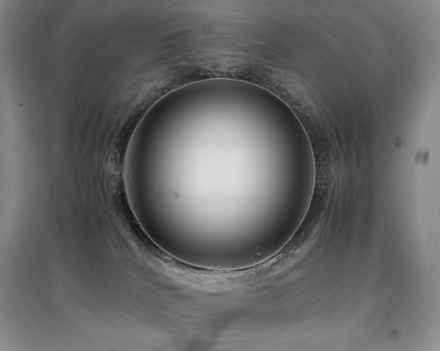 X0000097840040200803141217