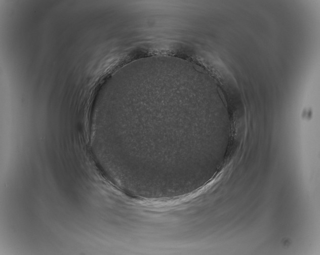 X0000097840041200803141217