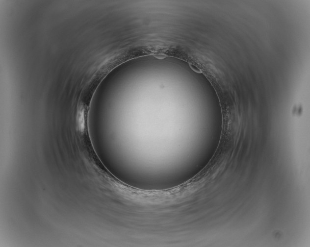 X0000097840042200803141217