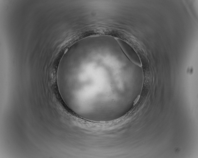 X0000097840043200803141217