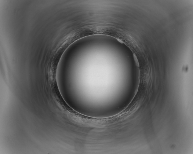 X0000097840044200803141217