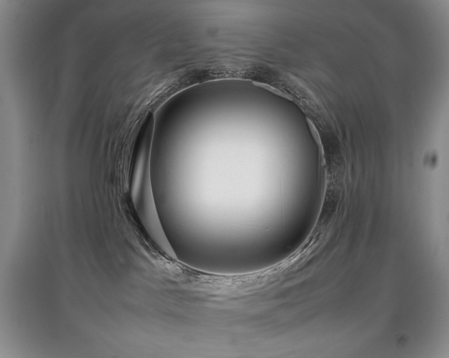 X0000097840045200803141217